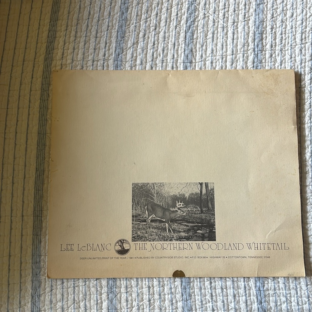 Lee Le Blanc 1981 Northern Woodland Whitetail Stamp, Print, Signed, Numbered - Picture 8 of 12